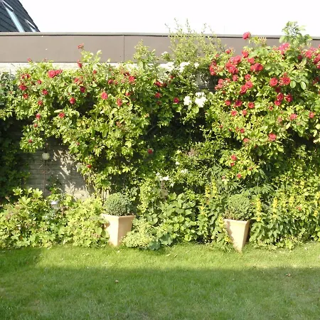 Apartment Haus Mit Lilie Und Rose *