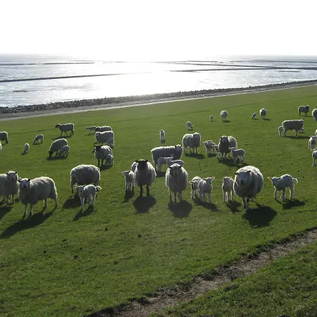 Appartement Haus Mit Lilie Und Rose *