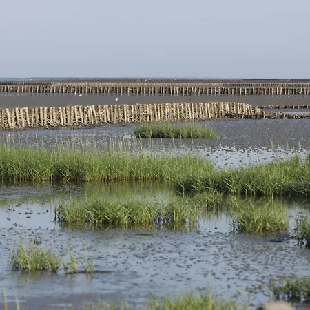 Haus Mit Lilie Und Rose