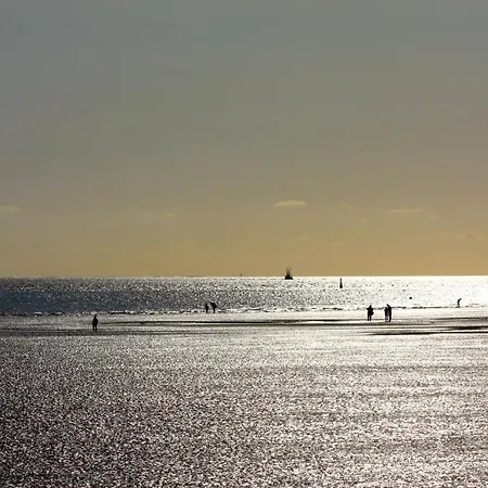 Appartement Haus Mit Lilie Und Rose *
