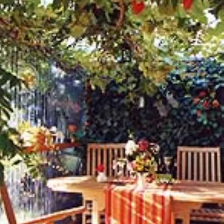 Haus Mit Lilie Und Rose